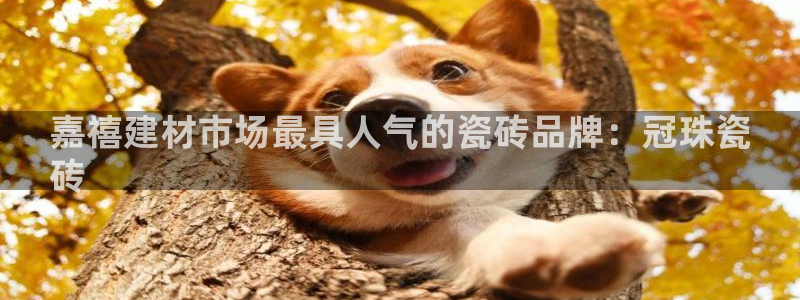 杏鑫娱乐是合法的吗是真的吗