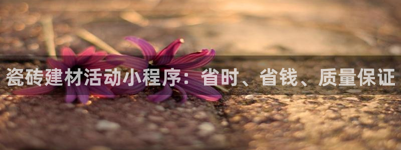 杏鑫平台代理注册多少钱一年