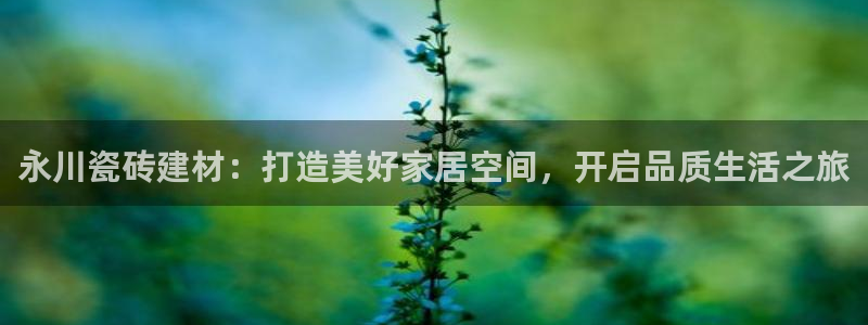 杏鑫平台野马联盟怎么样