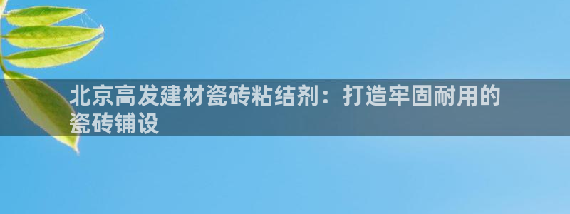 杏鑫平台代理怎么做