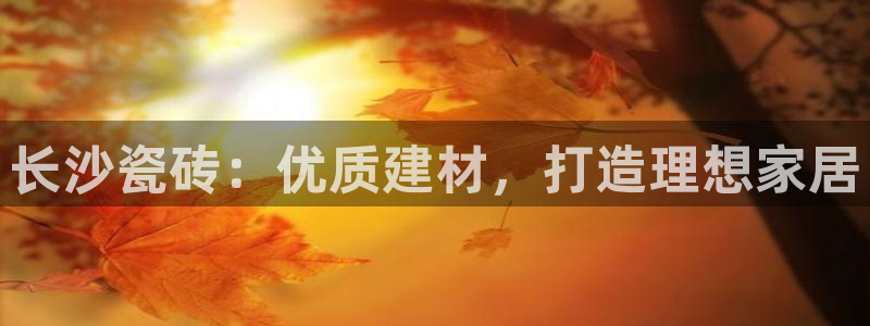 杏鑫娱乐多少年了