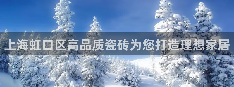 杏鑫平台代理注册多少钱一年