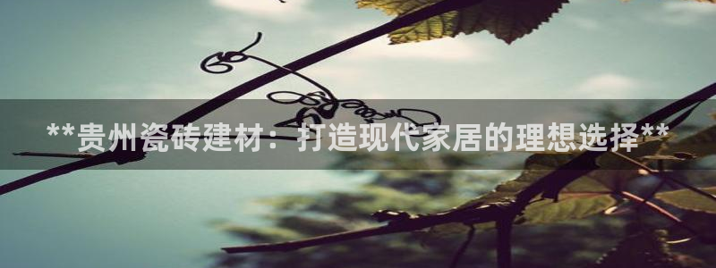 杏鑫娱乐平台测速怎么样