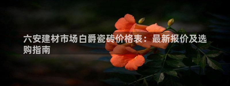 杏鑫平台注册登录