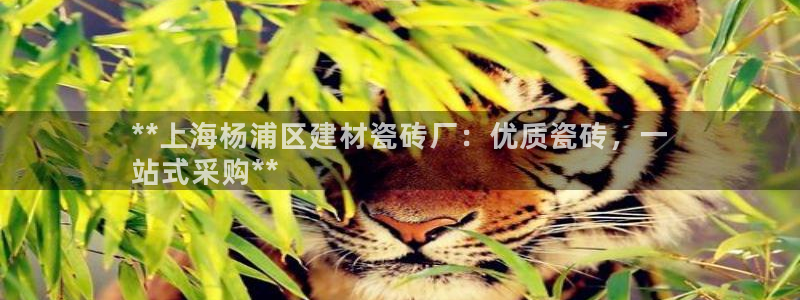 杏鑫平台待遇
