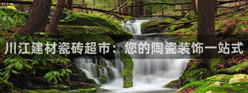 杏鑫代理注册登录