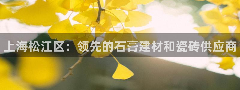 杏鑫注册地址