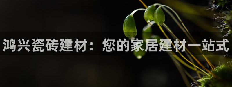 杏鑫平台招商电话号码