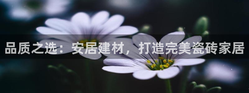 杏鑫平台招商怎么样啊