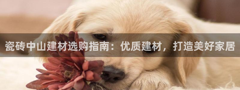杏鑫平台代理怎么样赚钱