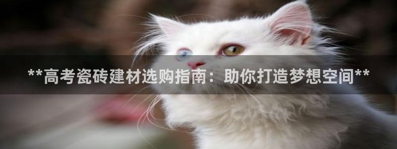 杏鑫平台代理注册流程及费用
