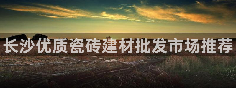 杏鑫官网注册账号密码是什么