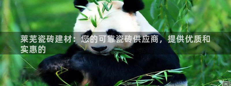 杏鑫代理注册