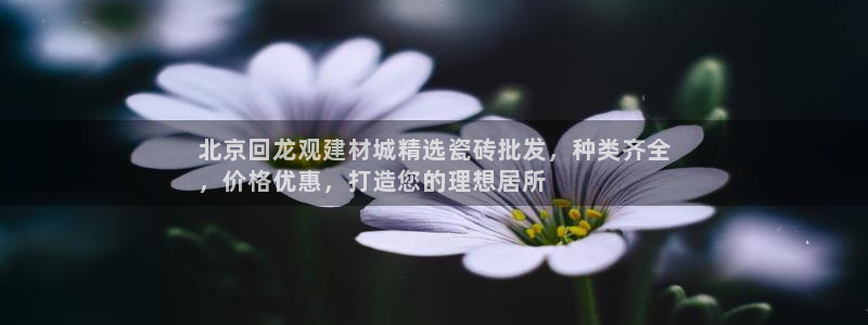 杏鑫平台代理注册登录不了怎么办呀视频