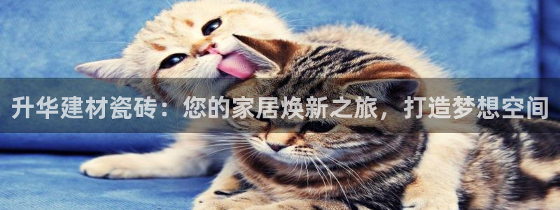 杏鑫娱乐官网登录不了