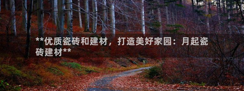 杏鑫官网注册账号是什么意思