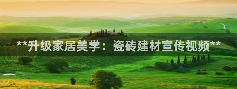 杏鑫平台代理注册多少钱一个
