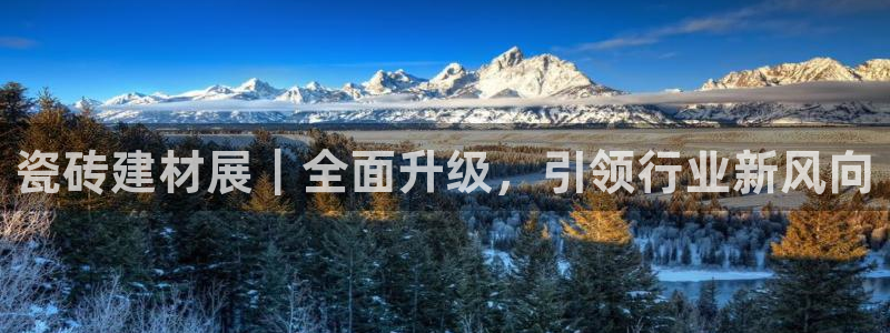 杏鑫官网注册账号是什么样的