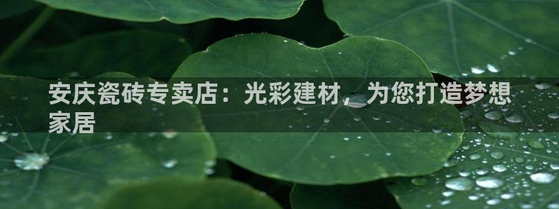 杏鑫平台招商怎么样