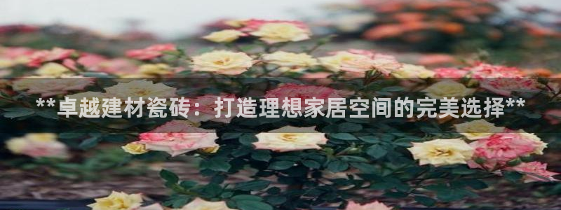 杏鑫娱乐官网首页