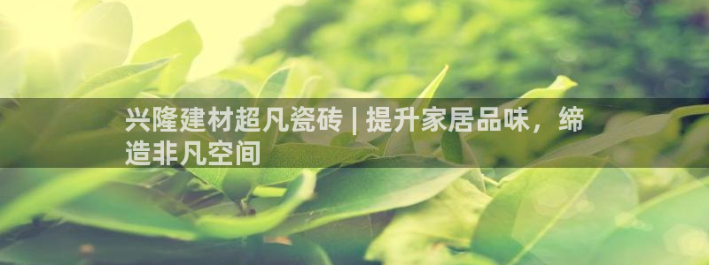 杏鑫官网最新信息新闻报道