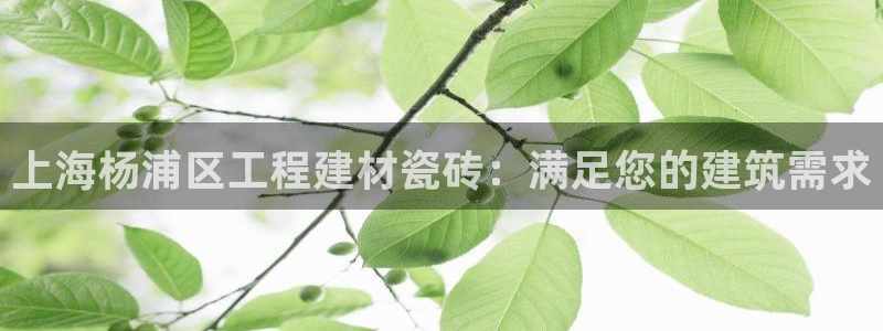 杏鑫平台广7O777