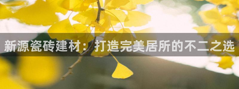 杏鑫平台代理
