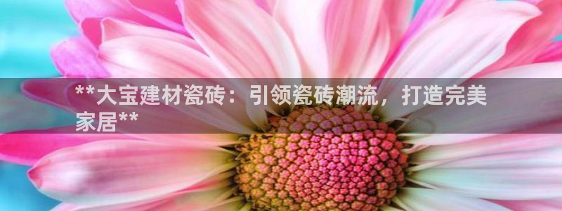 杏鑫官网最新信息新闻