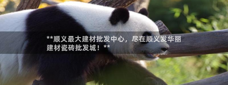 杏鑫平台广7O777