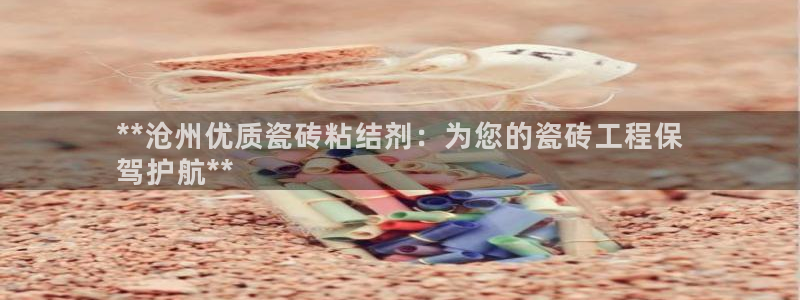 杏鑫官方平台怎么样啊知乎