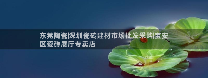 杏鑫平台怎么样