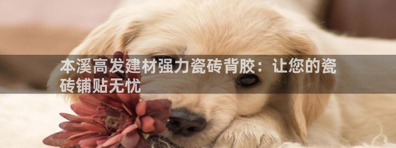 杏鑫娱乐官方网站客户端下载安装