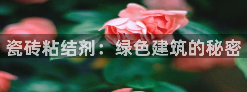 杏鑫官网注册账号怎么注册的