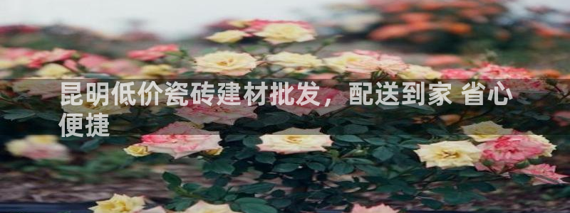 杏鑫平台代理怎么做