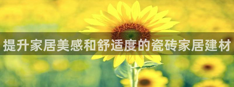 杏鑫平台线路测速