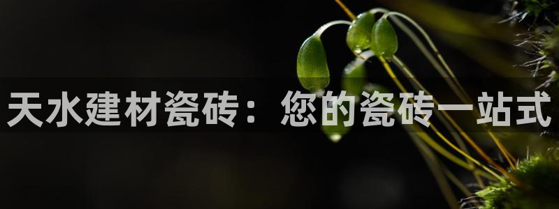 杏鑫官方平台怎么样啊可靠吗