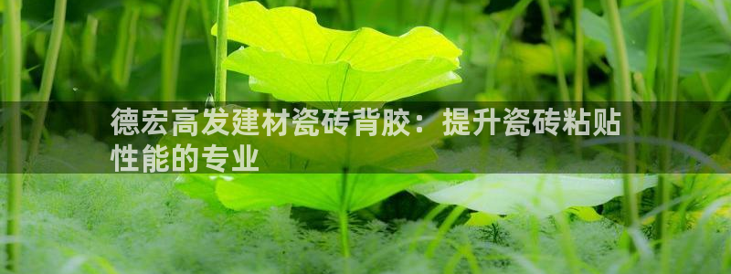 杏鑫官网注册账号