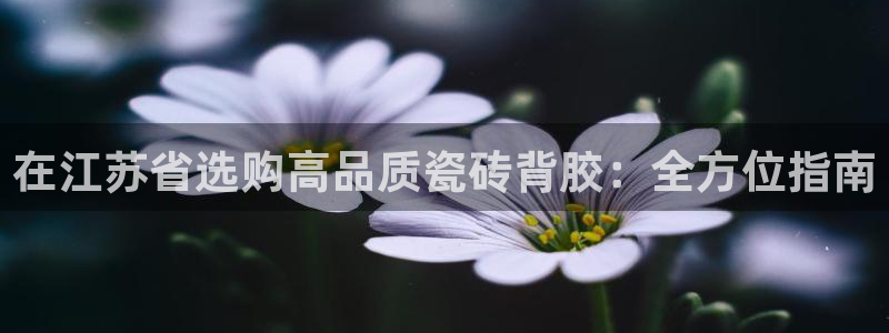 杏鑫平台待遇