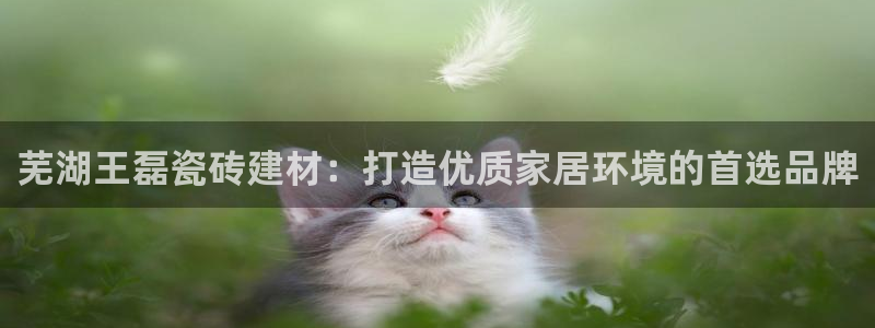 杏鑫注册登录代理公司