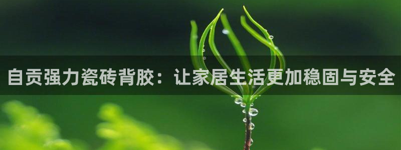 杏鑫平台平台娱乐