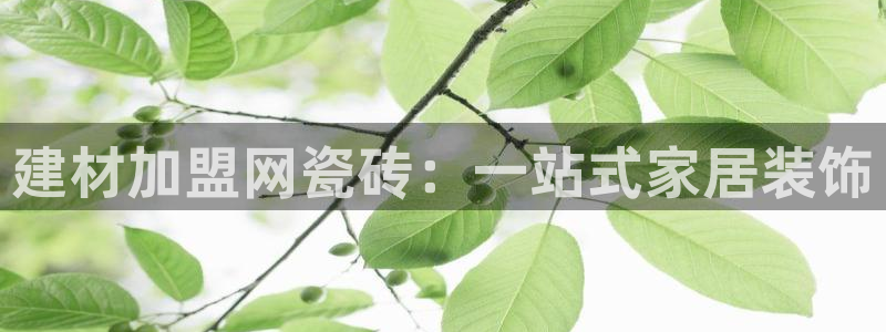 杏鑫官网注册账号密码是多少