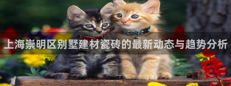 杏鑫平台代理注册多少钱