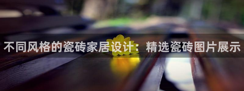 杏鑫注册登录代理