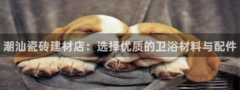 杏鑫注册平台官方网站是什么