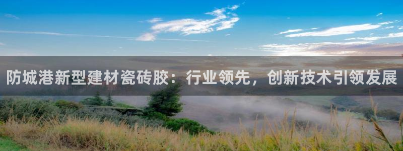 杏鑫娱乐负责人