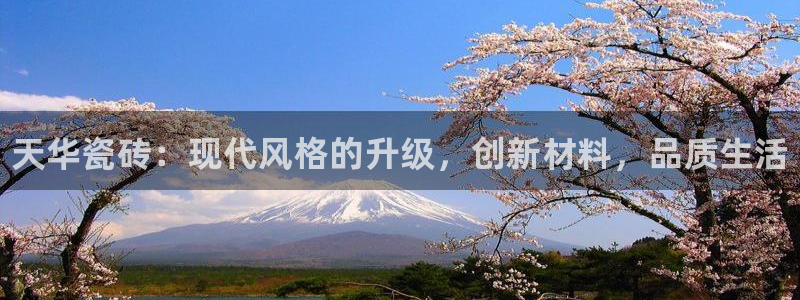 杏鑫平台代理注册登录不了怎么办呀苹果