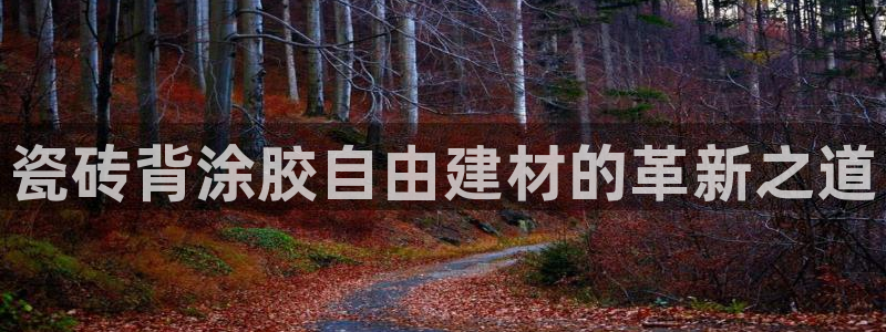 杏鑫官方平台怎么样啊安全吗