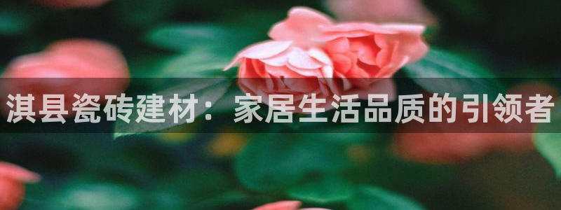 杏鑫平台代理注册流程图