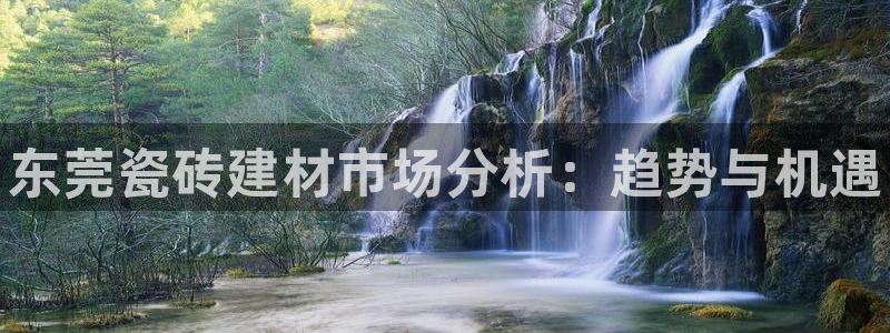 杏鑫官方平台怎么样啊