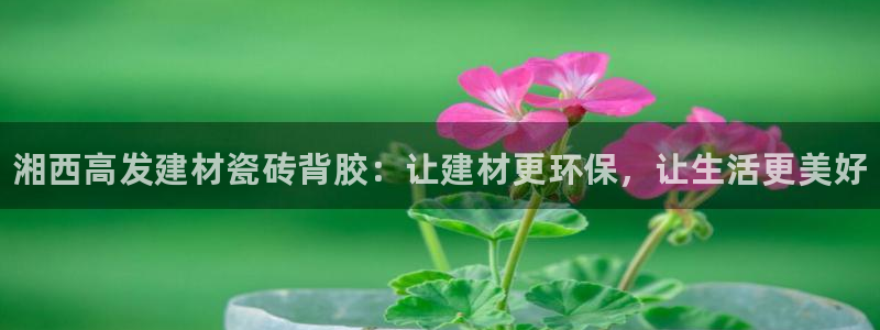 杏鑫平台注册网址查询